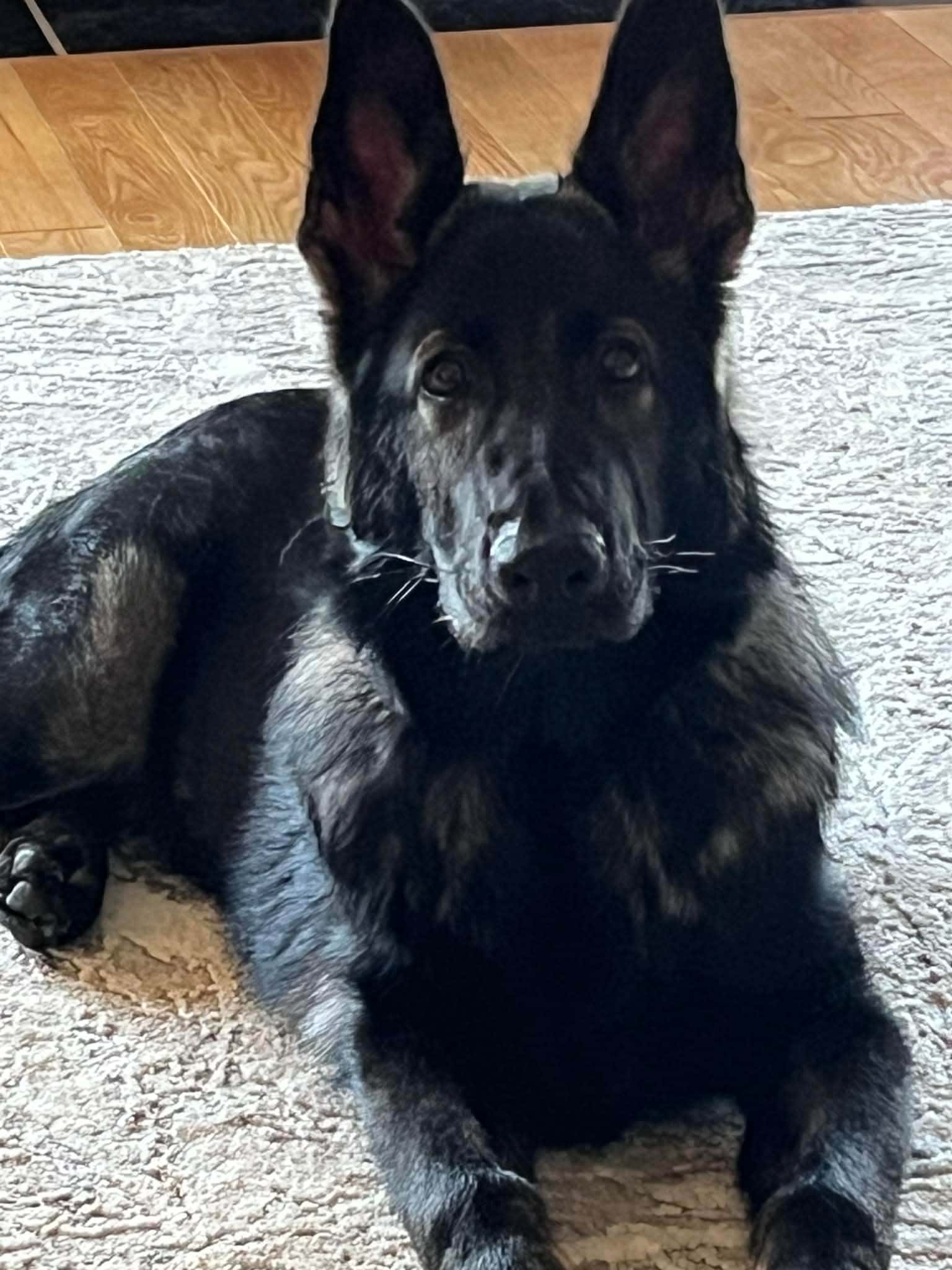 C35ab676 C292 454b B771 7f6cd1c39a09