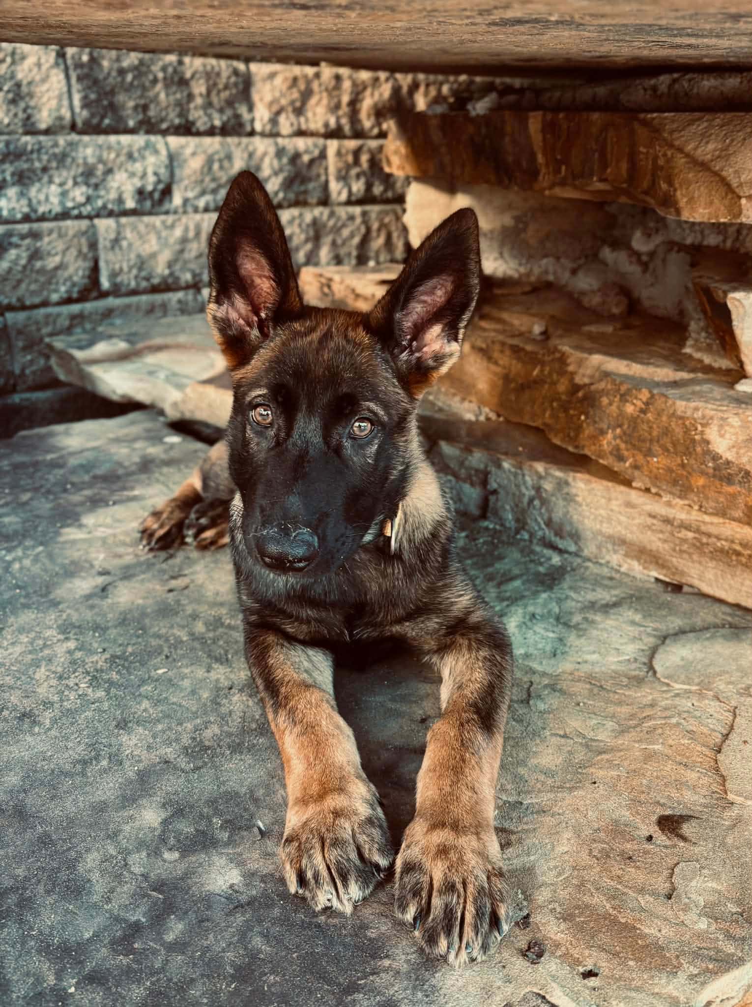 8d5cbdad A731 4b26 A3ef 59b0360f2b26